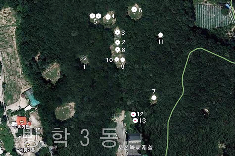 토토 배팅 사이트